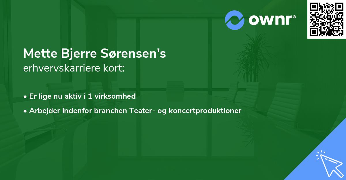 Mette Bjerre Sørensen's erhvervskarriere kort