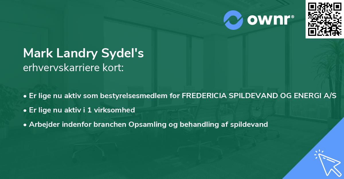 Mark Landry Sydel's erhvervskarriere kort