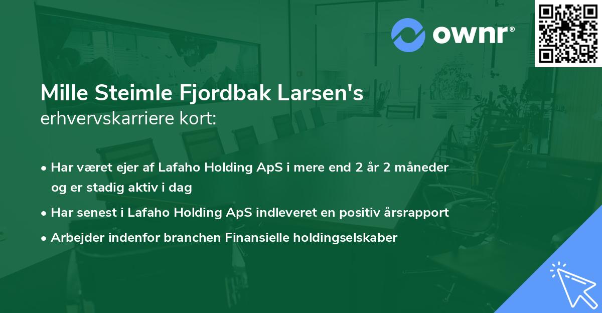 Mille Steimle Fjordbak Larsen's erhvervskarriere kort