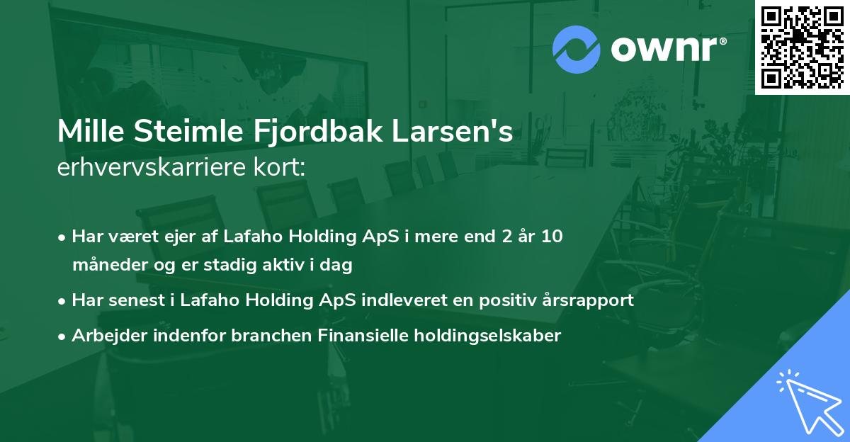 Mille Steimle Fjordbak Larsen's erhvervskarriere kort