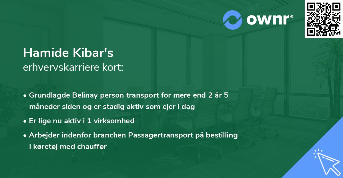 Hamide Kibar's erhvervskarriere kort