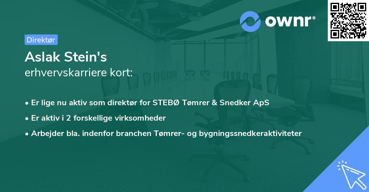 Aslak Stein's erhvervskarriere kort