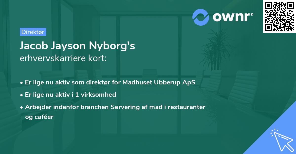 Jacob Jayson Nyborg's erhvervskarriere kort