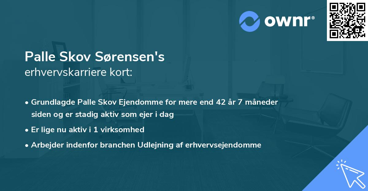 Palle Skov Sørensen's erhvervskarriere kort