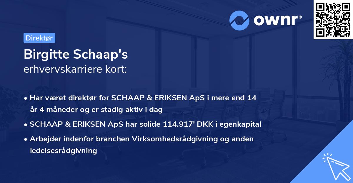 Birgitte Schaap's erhvervskarriere kort