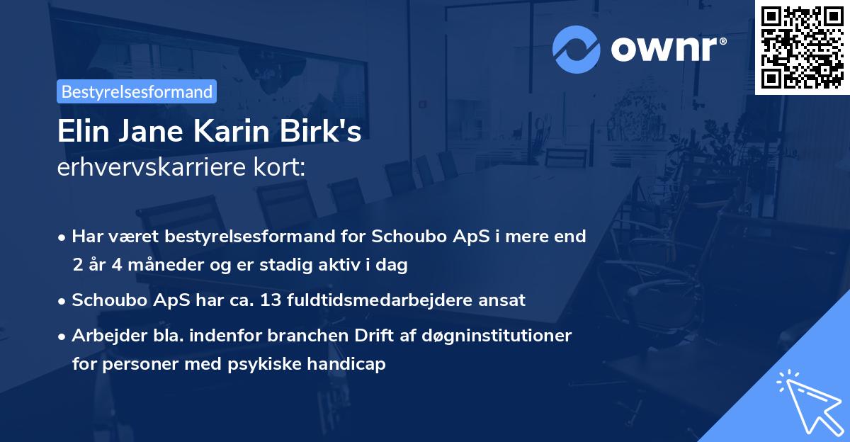 Elin Jane Karin Birk's erhvervskarriere kort