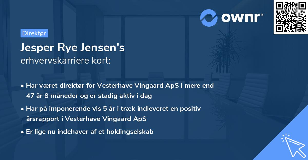 Jesper Rye Jensen's erhvervskarriere kort