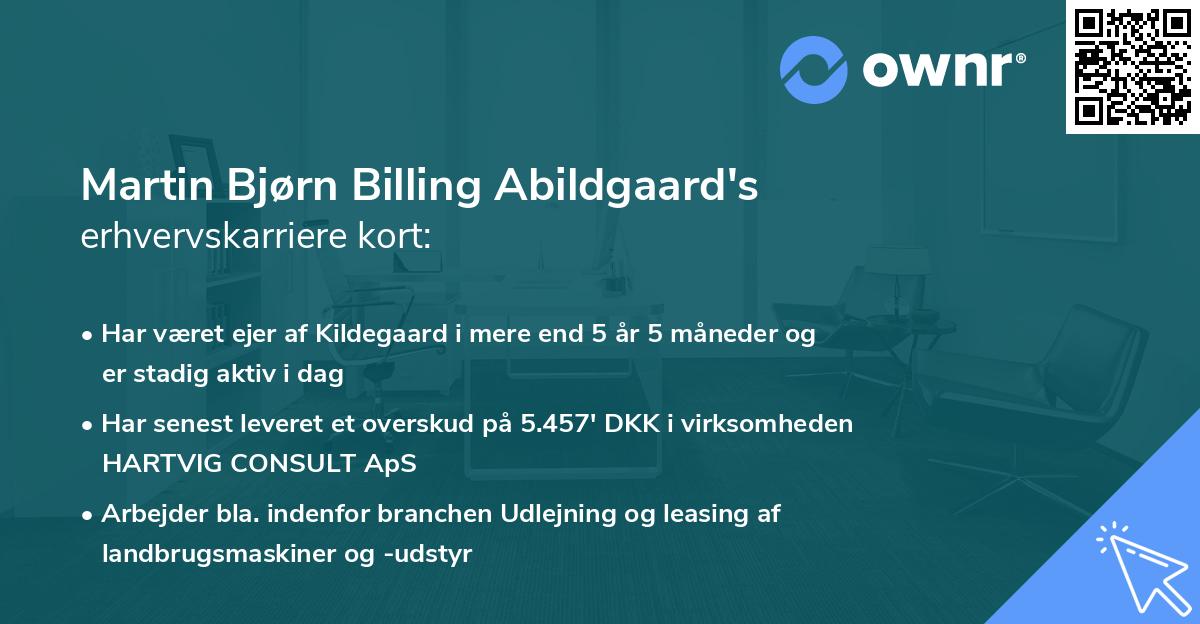 Martin Bjørn Billing Abildgaard's erhvervskarriere kort