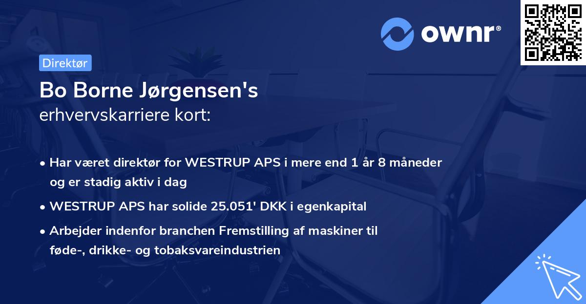 Bo Borne Jørgensen's erhvervskarriere kort