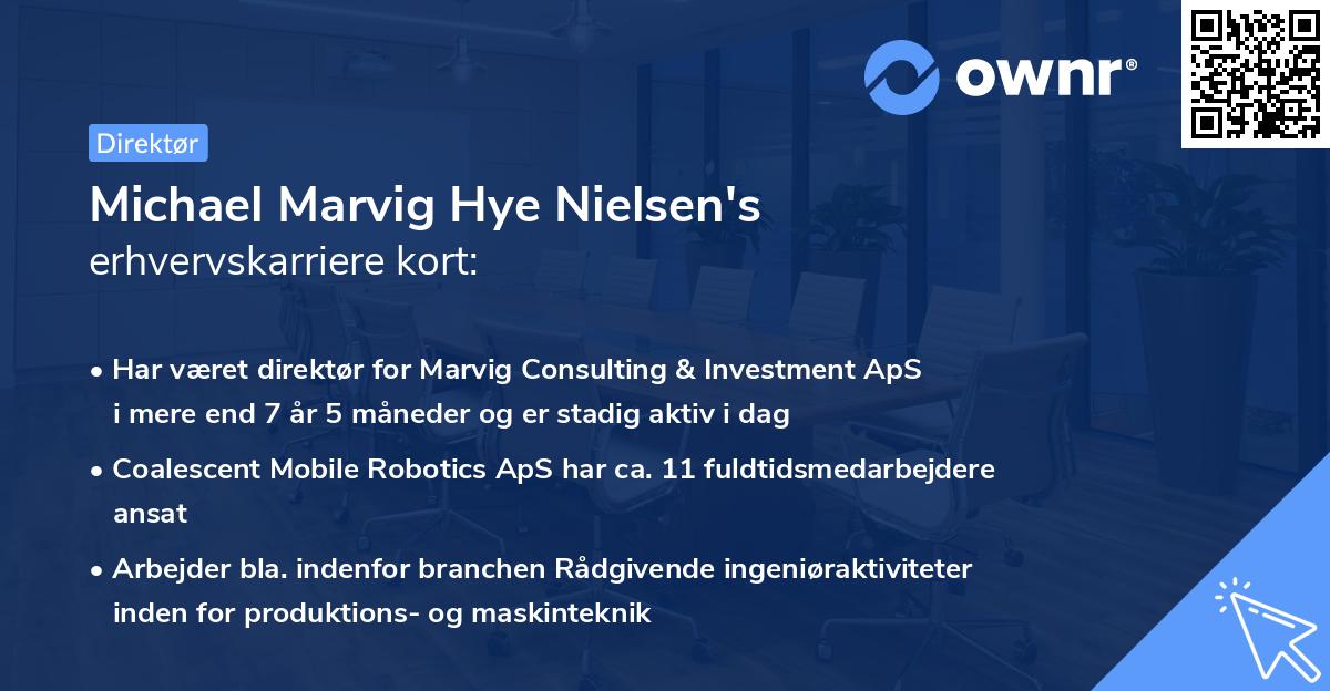 Michael Marvig Hye Nielsen's erhvervskarriere kort