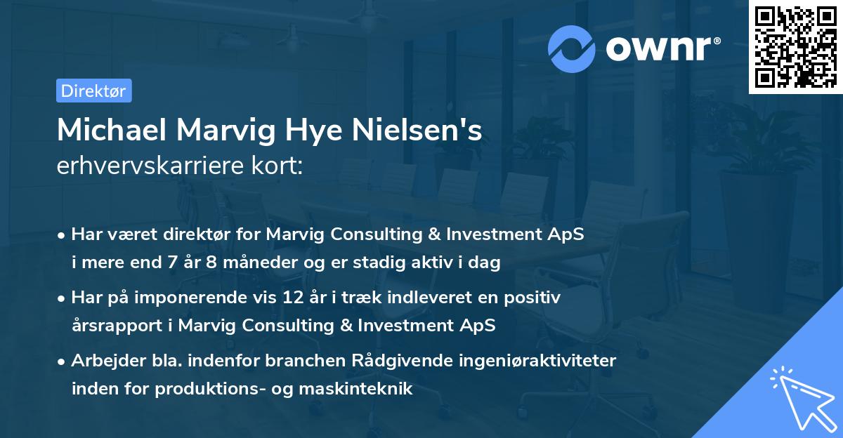 Michael Marvig Hye Nielsen's erhvervskarriere kort