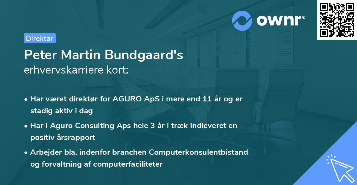 Peter Martin Bundgaard's erhvervskarriere kort