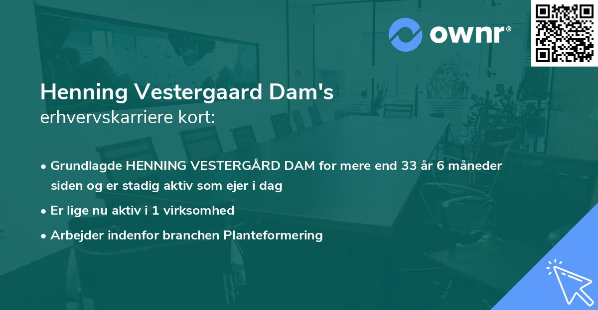 Henning Vestergaard Dam's erhvervskarriere kort