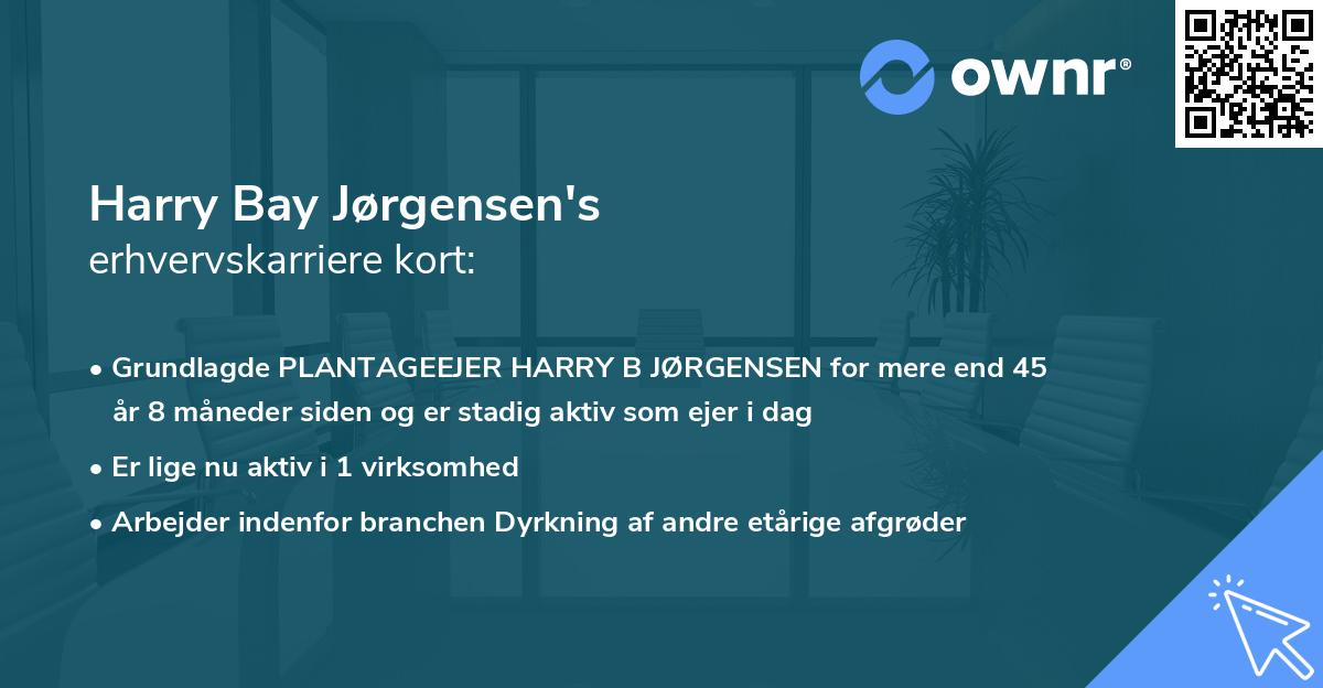 Harry Bay Jørgensen's erhvervskarriere kort