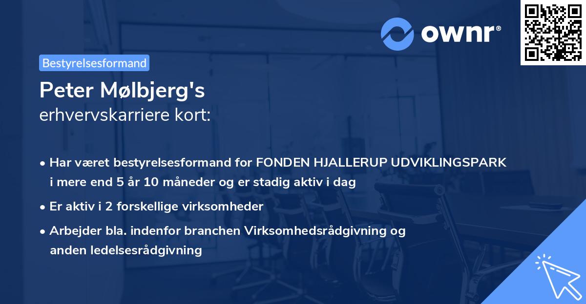 Peter Mølbjerg's erhvervskarriere kort