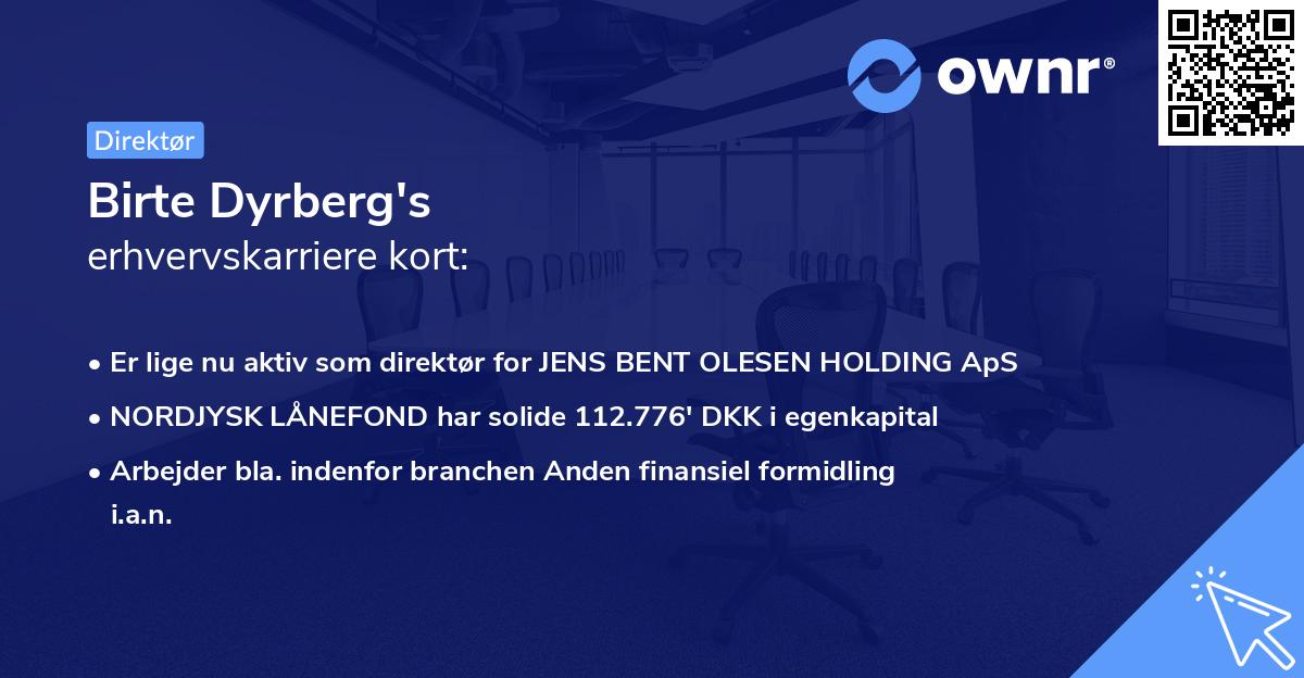 Birte Dyrberg's erhvervskarriere kort