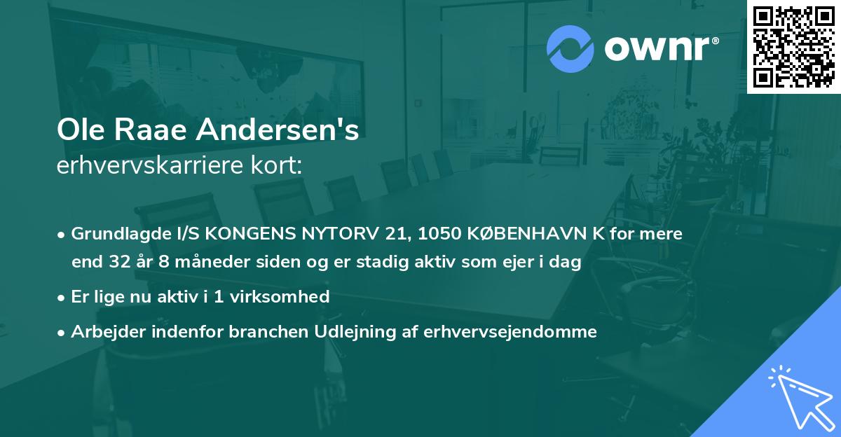 Ole Raae Andersen's erhvervskarriere kort