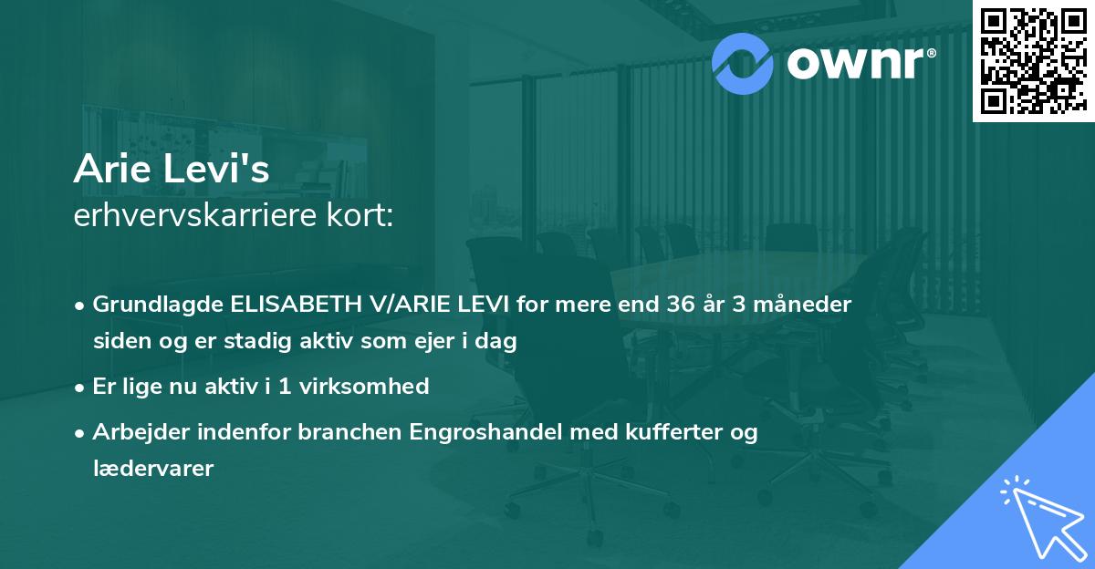 Arie Levi's erhvervskarriere kort