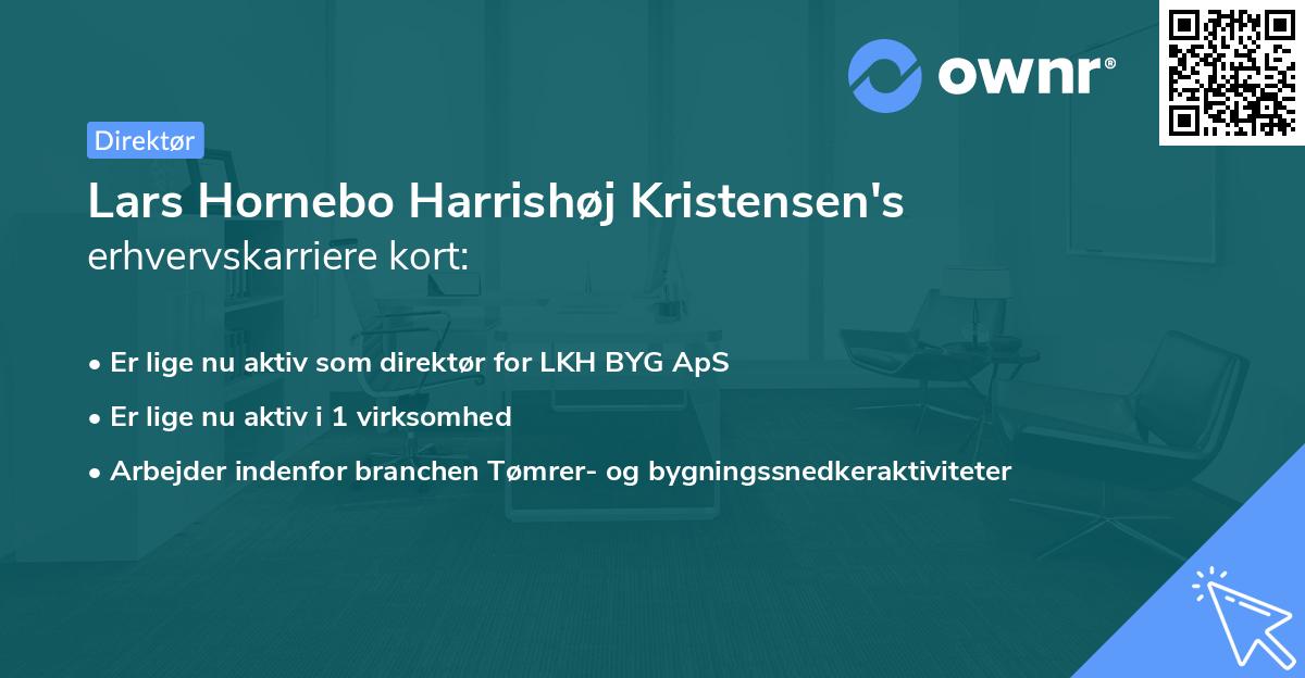 Lars Hornebo Harrishøj Kristensen's erhvervskarriere kort