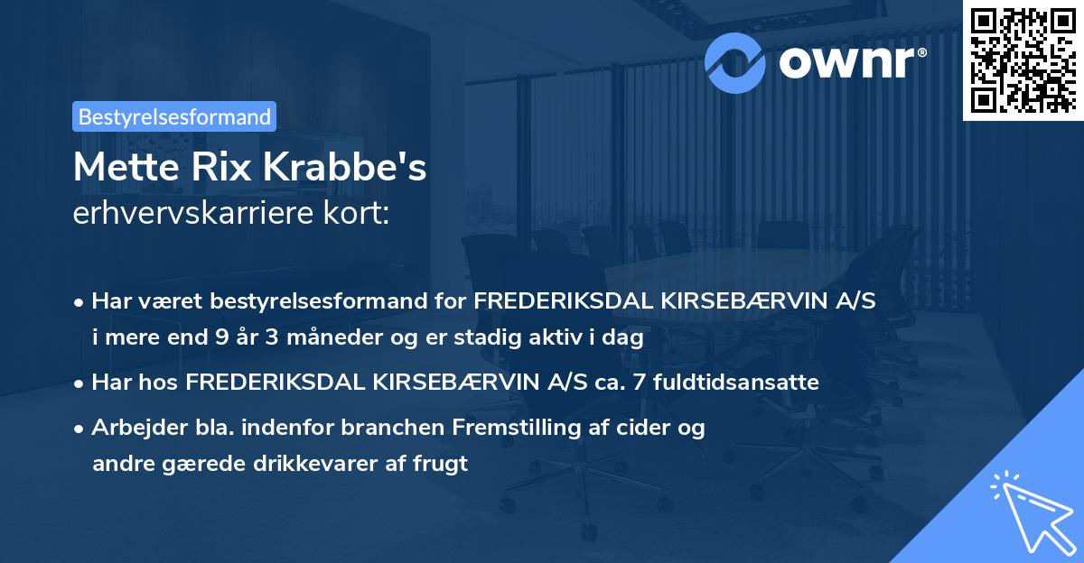 Mette Rix Krabbe's erhvervskarriere kort