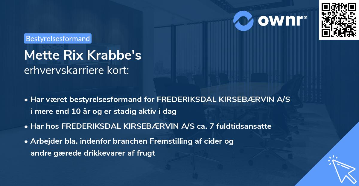 Mette Rix Krabbe's erhvervskarriere kort