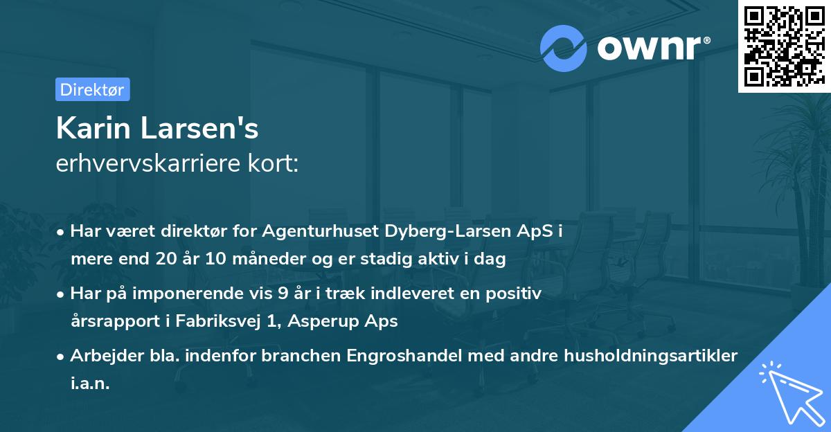Karin Larsen's erhvervskarriere kort