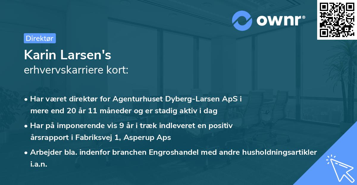 Karin Larsen's erhvervskarriere kort