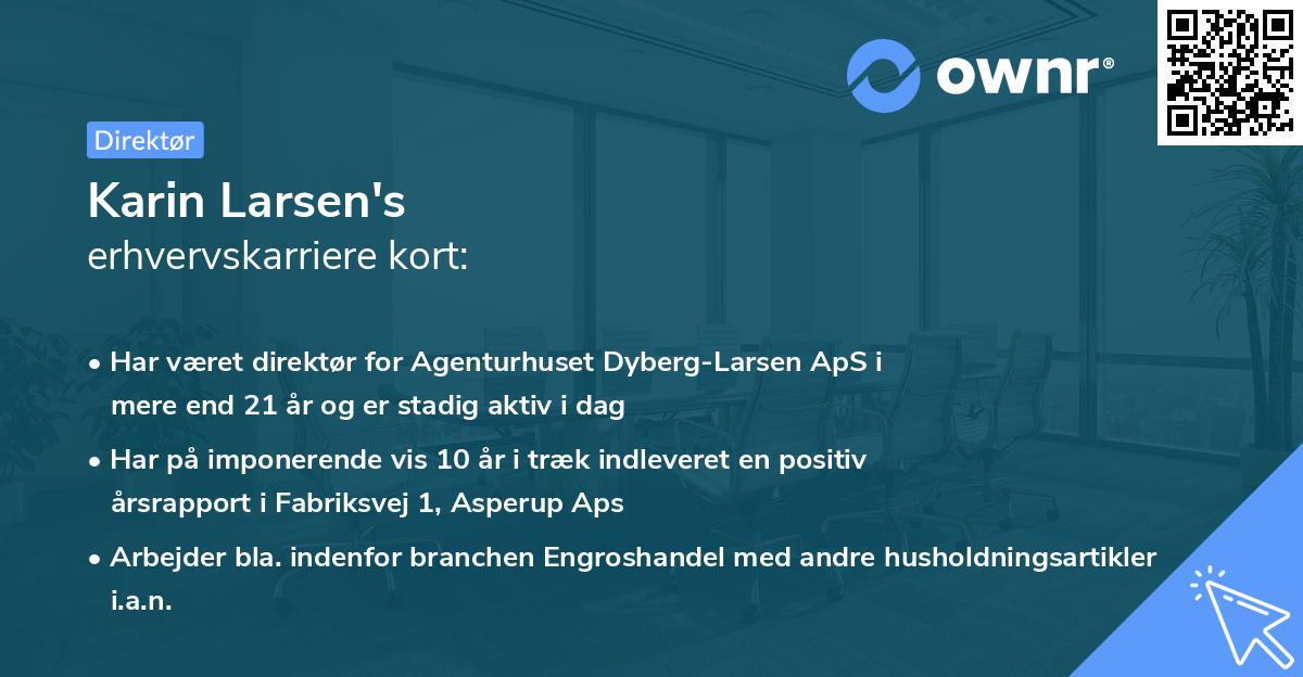 Karin Larsen's erhvervskarriere kort
