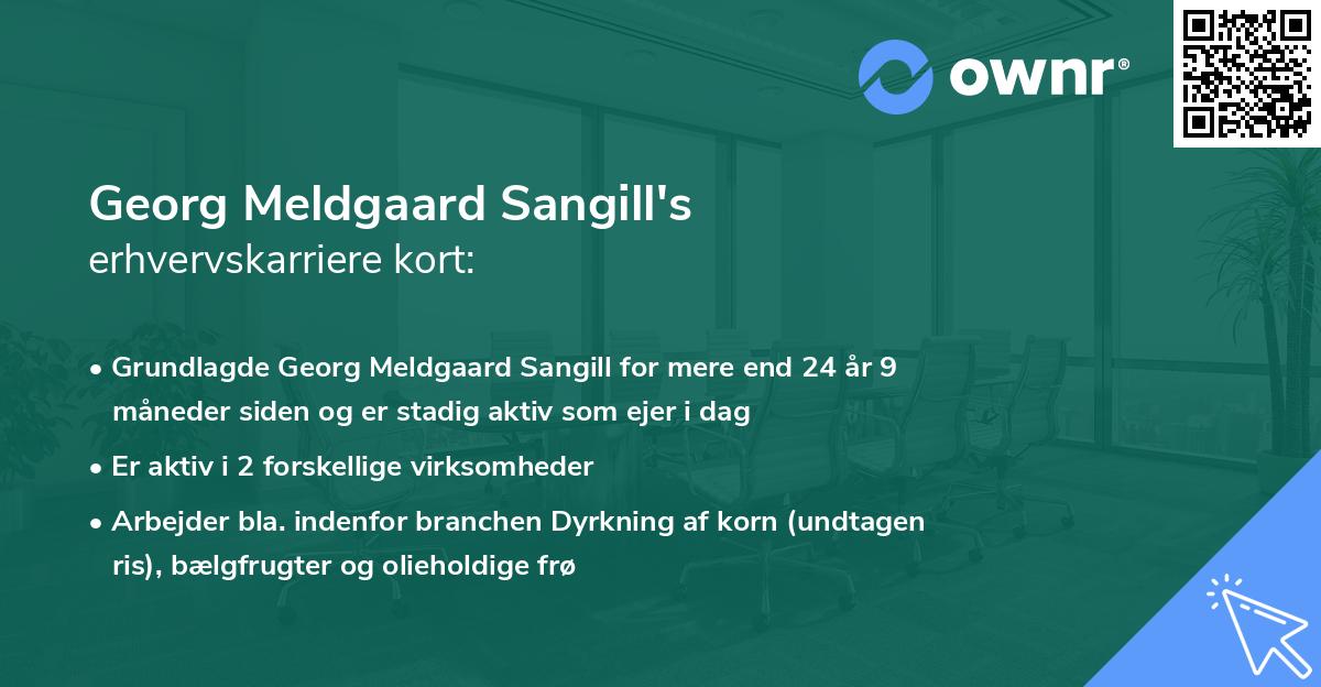 Georg Meldgaard Sangill's erhvervskarriere kort