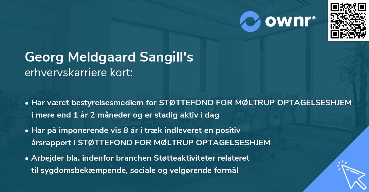 Georg Meldgaard Sangill's erhvervskarriere kort