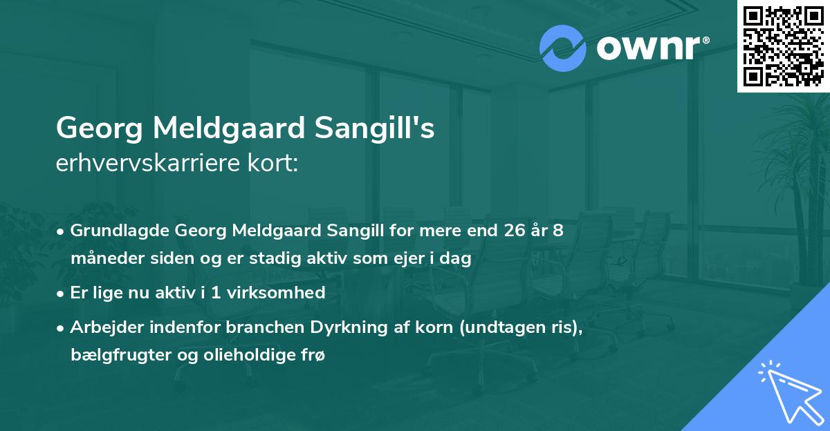 Georg Meldgaard Sangill's erhvervskarriere kort