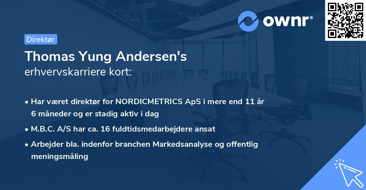 Thomas Yung Andersen's erhvervskarriere kort