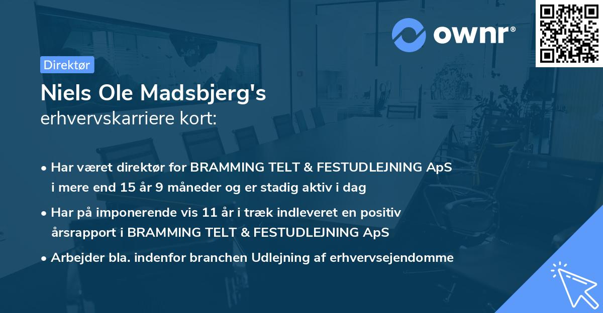 Niels Ole Madsbjerg's erhvervskarriere kort