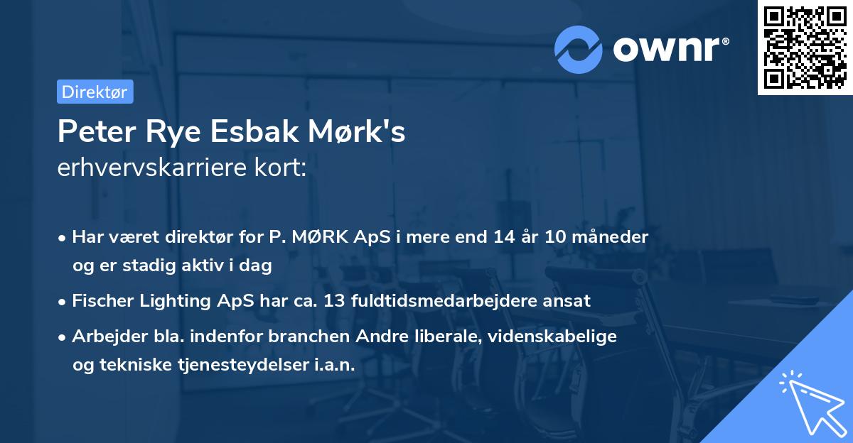 Peter Rye Esbak Mørk's erhvervskarriere kort