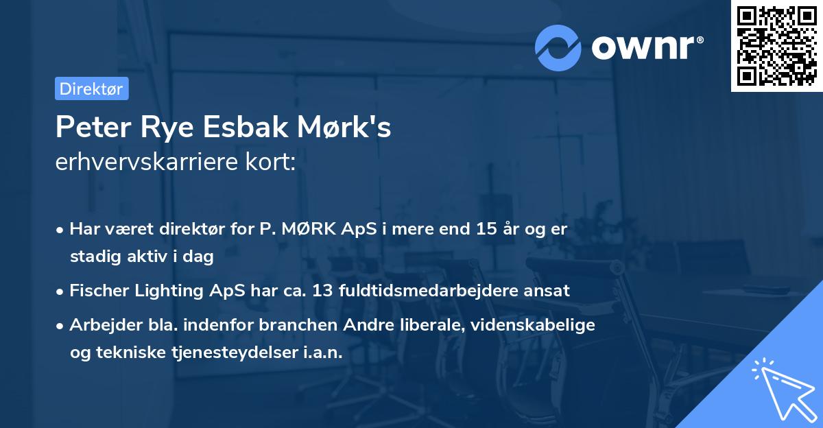 Peter Rye Esbak Mørk's erhvervskarriere kort