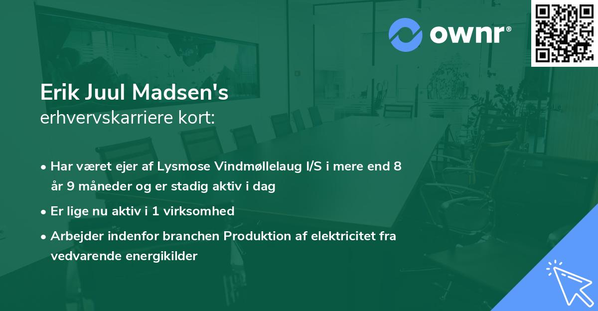 Erik Juul Madsen's erhvervskarriere kort