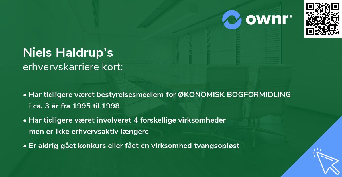 Niels Haldrup's erhvervskarriere kort