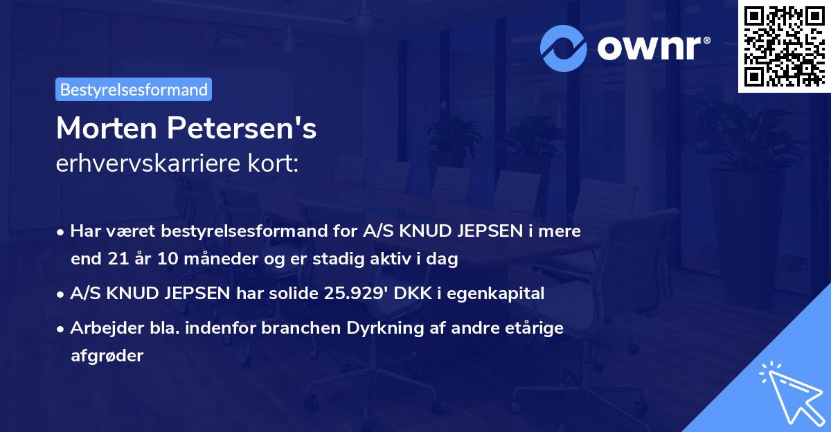 Morten Petersen's erhvervskarriere kort