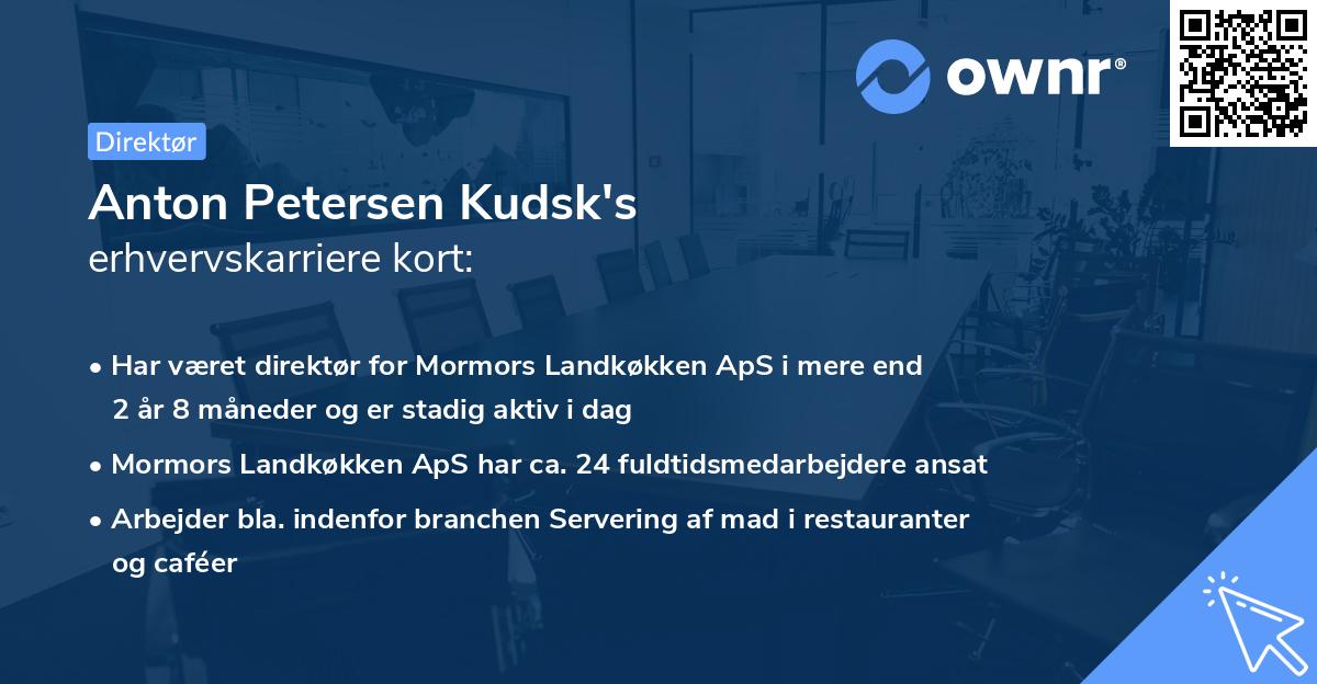 Anton Petersen Kudsk's erhvervskarriere kort