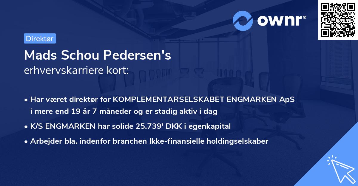 Mads Schou Pedersen's erhvervskarriere kort