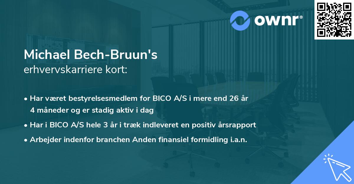 Michael Bech-Bruun's erhvervskarriere kort