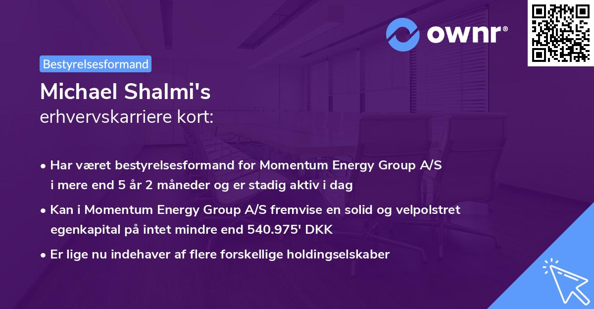 Michael Shalmi's erhvervskarriere kort