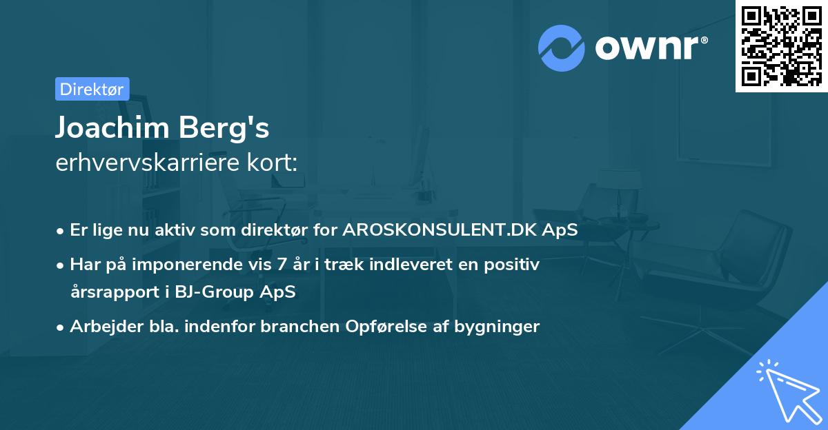 Joachim Berg's erhvervskarriere kort