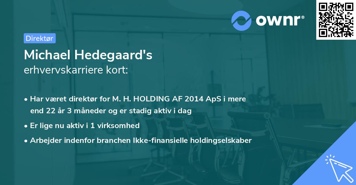 Michael Hedegaard's erhvervskarriere kort