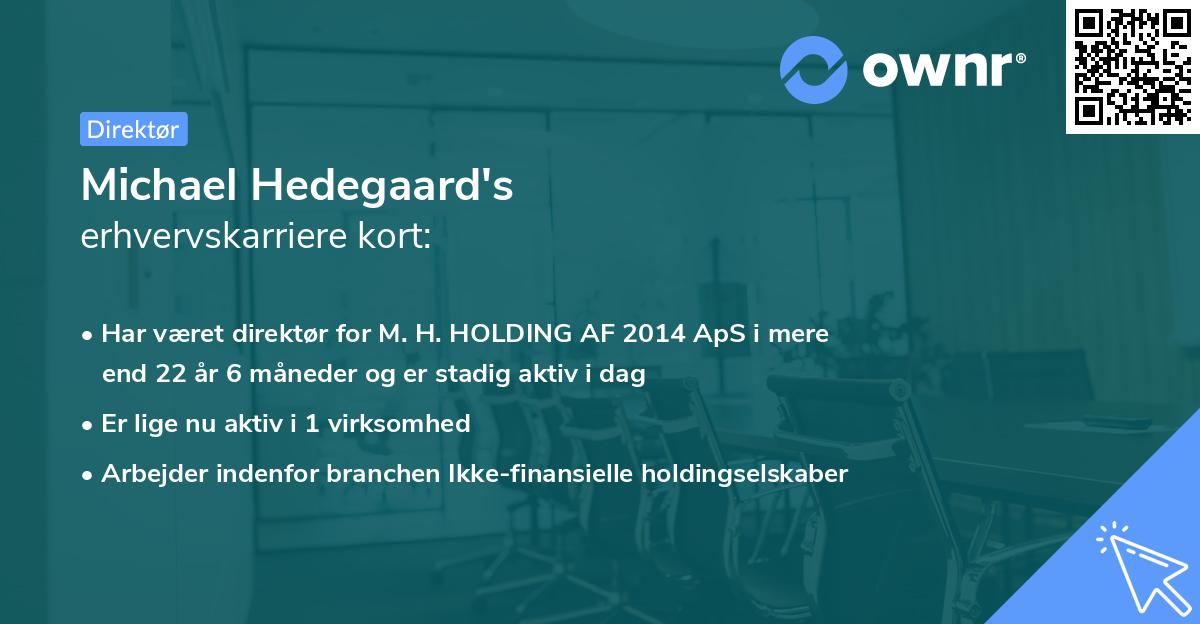 Michael Hedegaard's erhvervskarriere kort