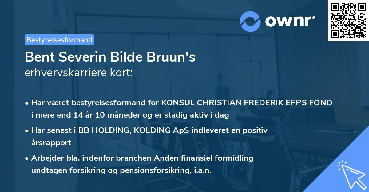 Bent Severin Bilde Bruun's erhvervskarriere kort