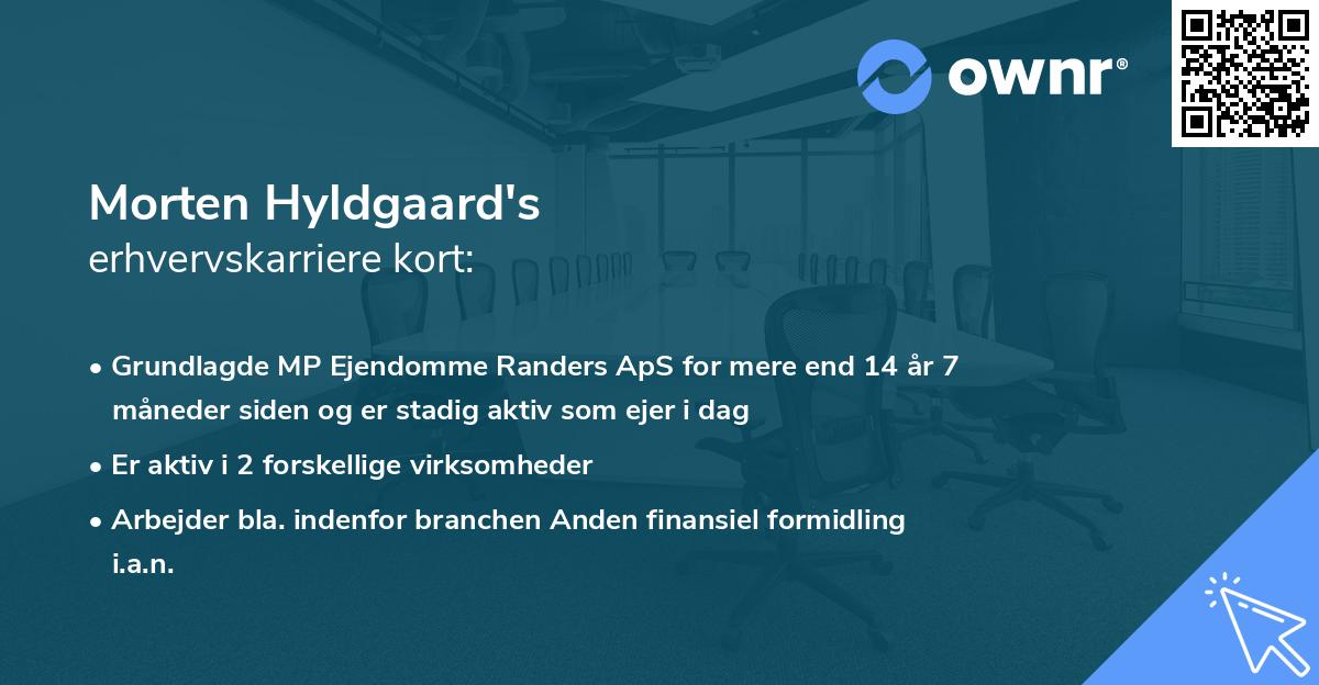 Morten Hyldgaard's erhvervskarriere kort
