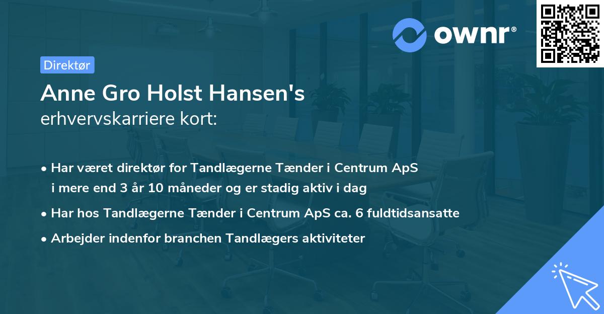 Anne Gro Holst Hansen's erhvervskarriere kort