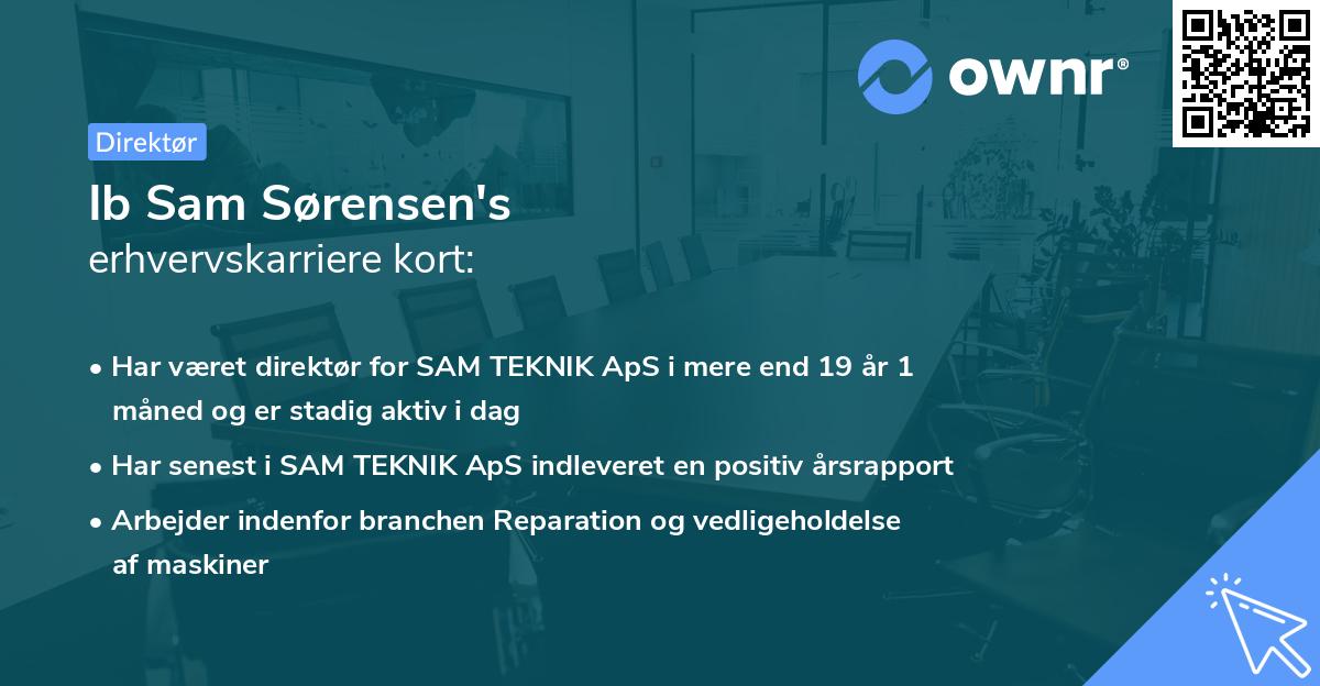 Ib Sam Sørensen's erhvervskarriere kort