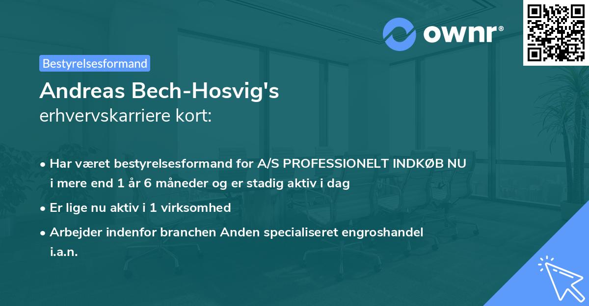 Andreas Bech-Hosvig's erhvervskarriere kort